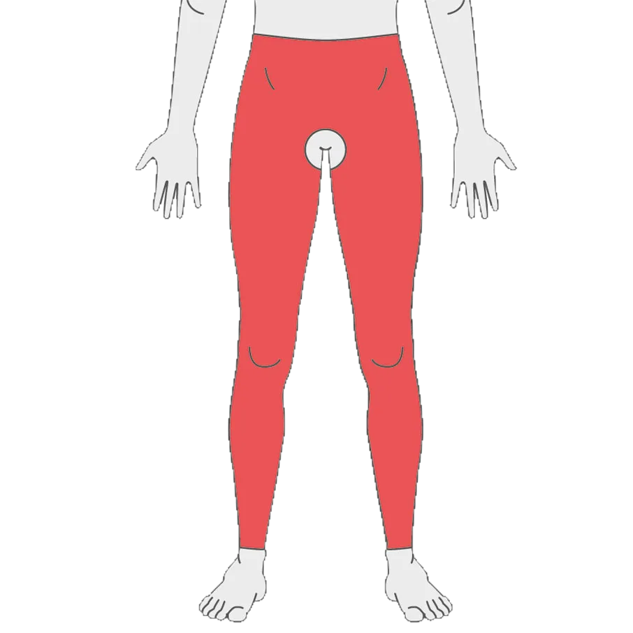Jobskin® Interim Panty Girdle