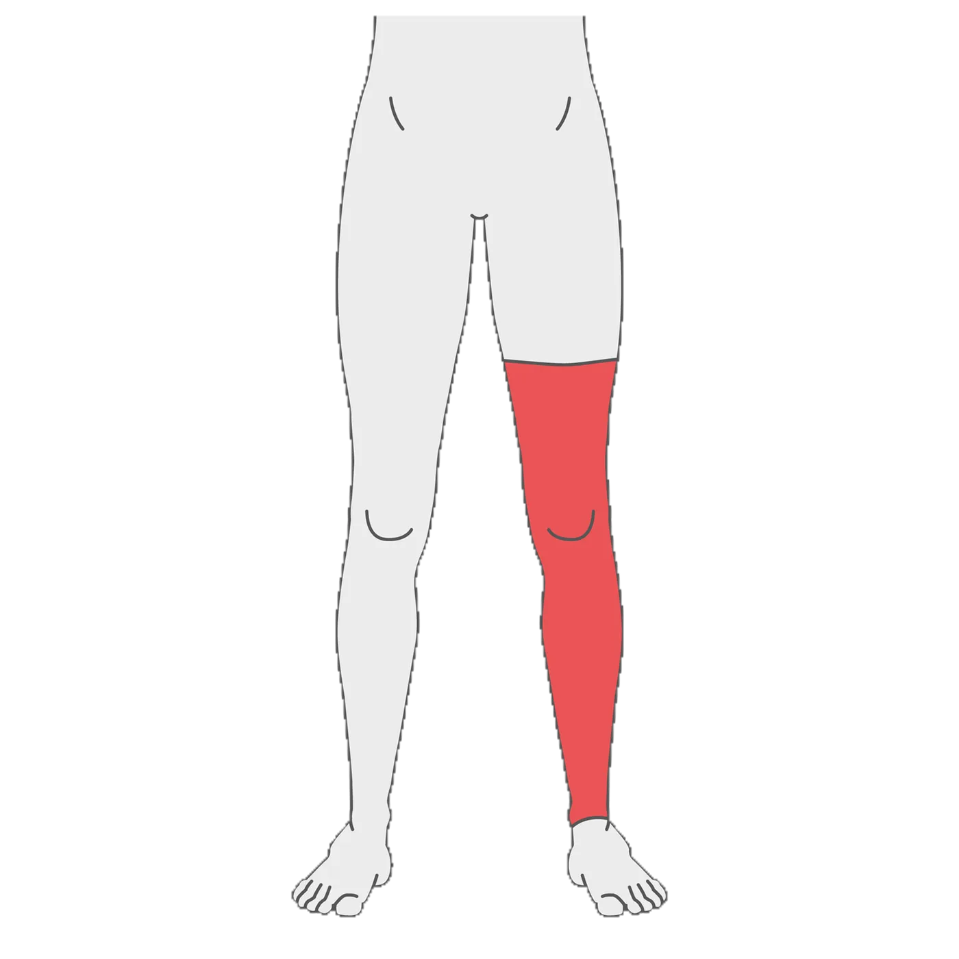 New Jobskin® Premium Leg Sleeve, Any Length, with or without Feet - PO 0201